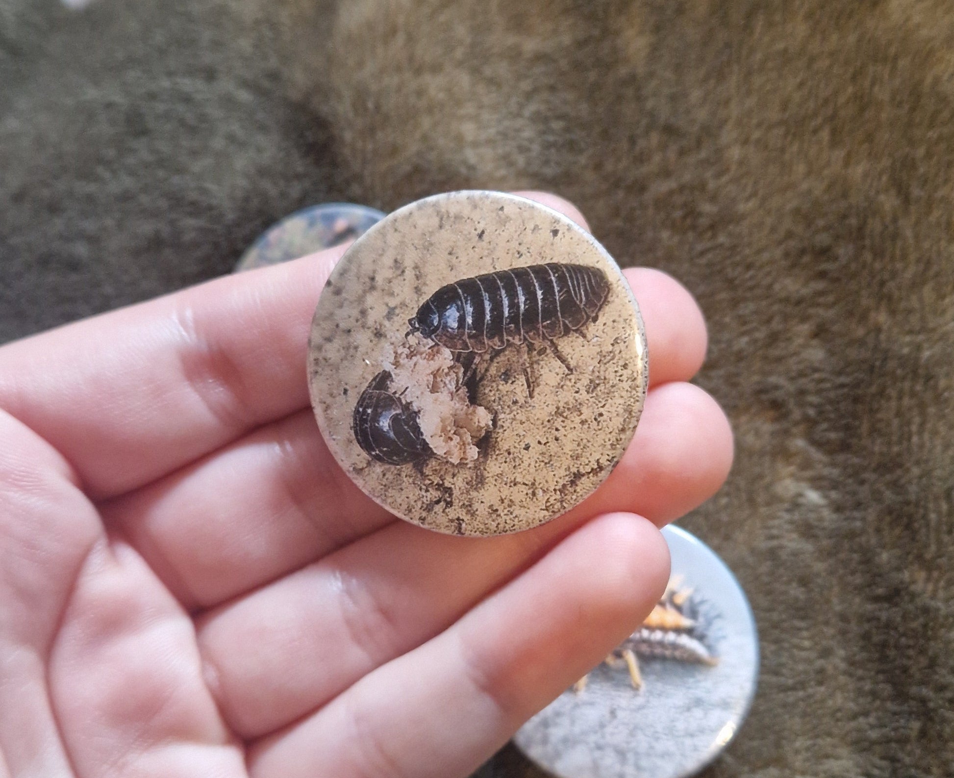 Hand holding circle pin badge with two woodlouse eating a piece of bread on the design