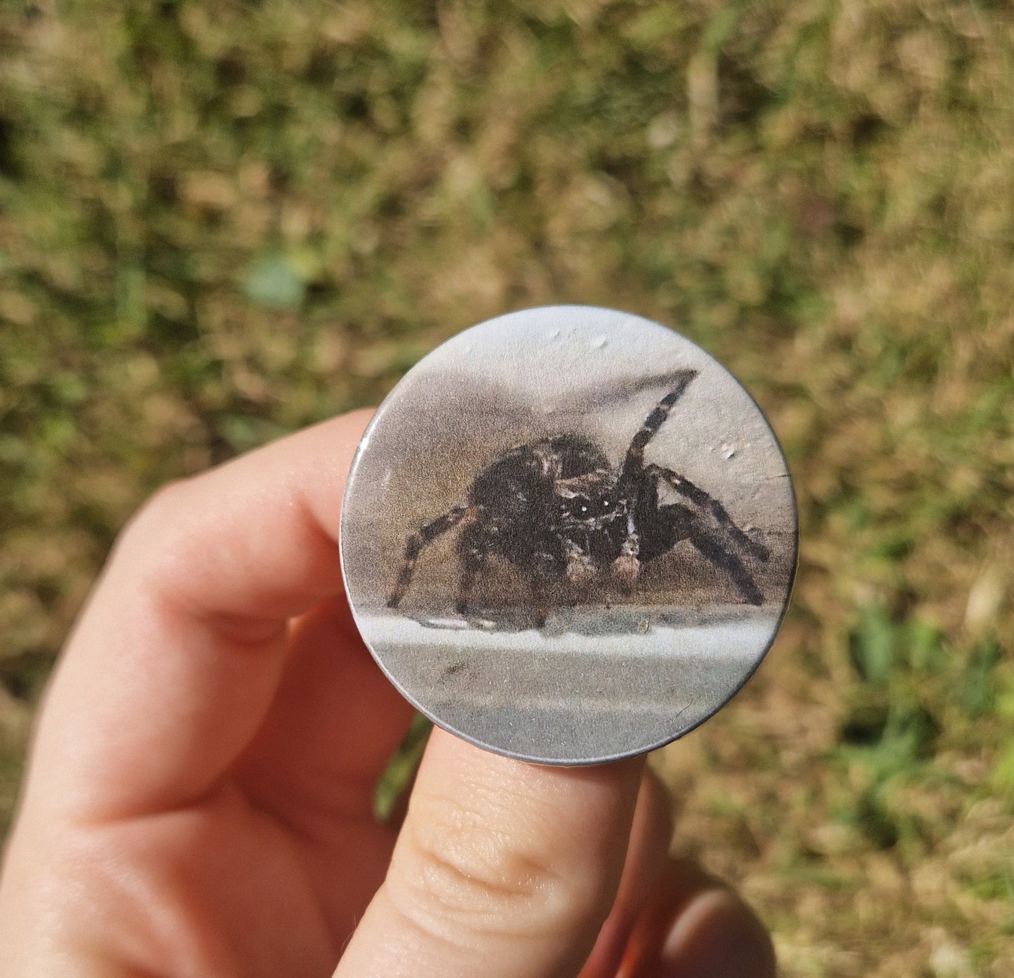 Bug Pin Badge Bundle #4