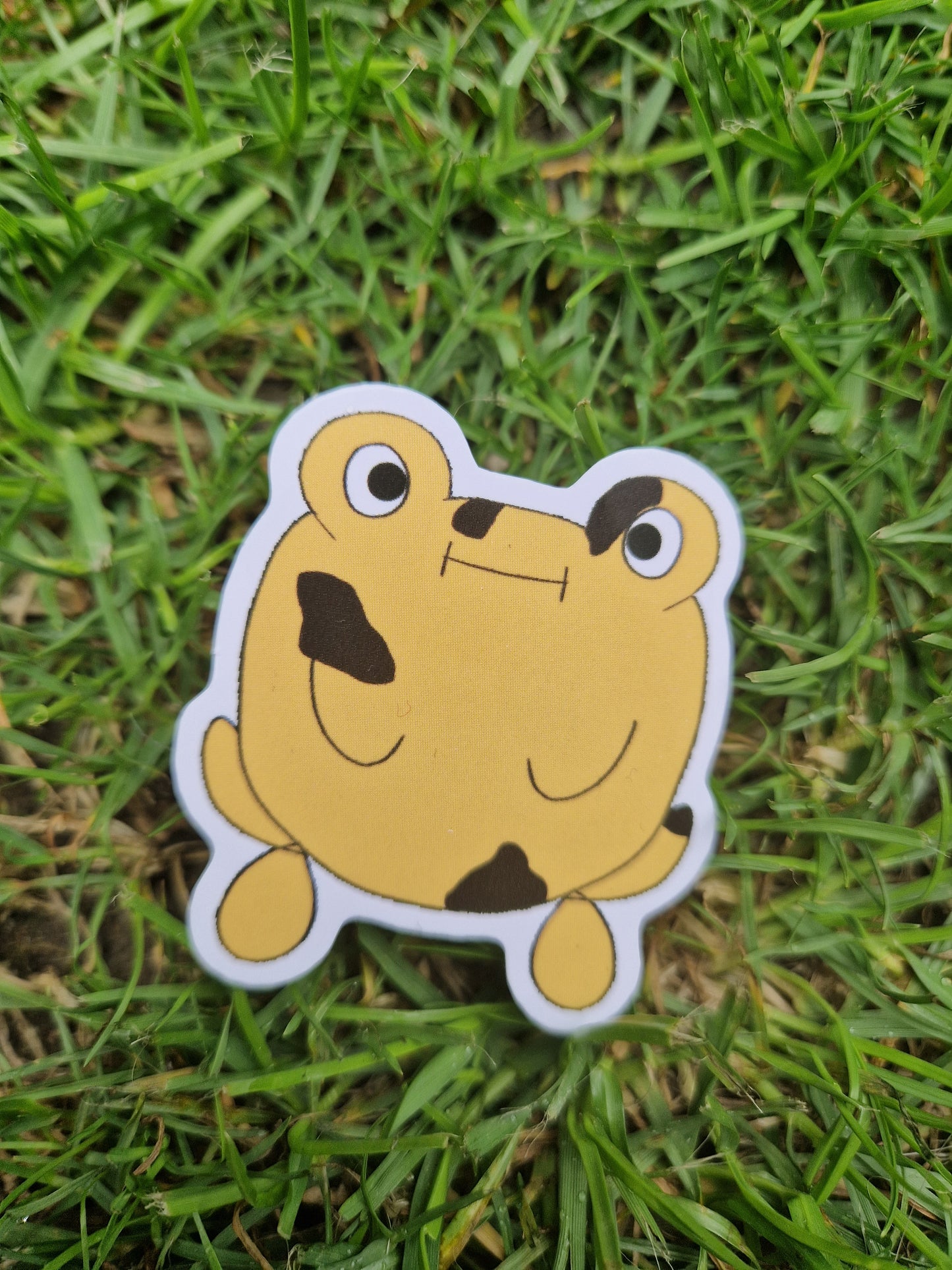 Yellow Frog Sticker 'Bob The Frog- Original Character