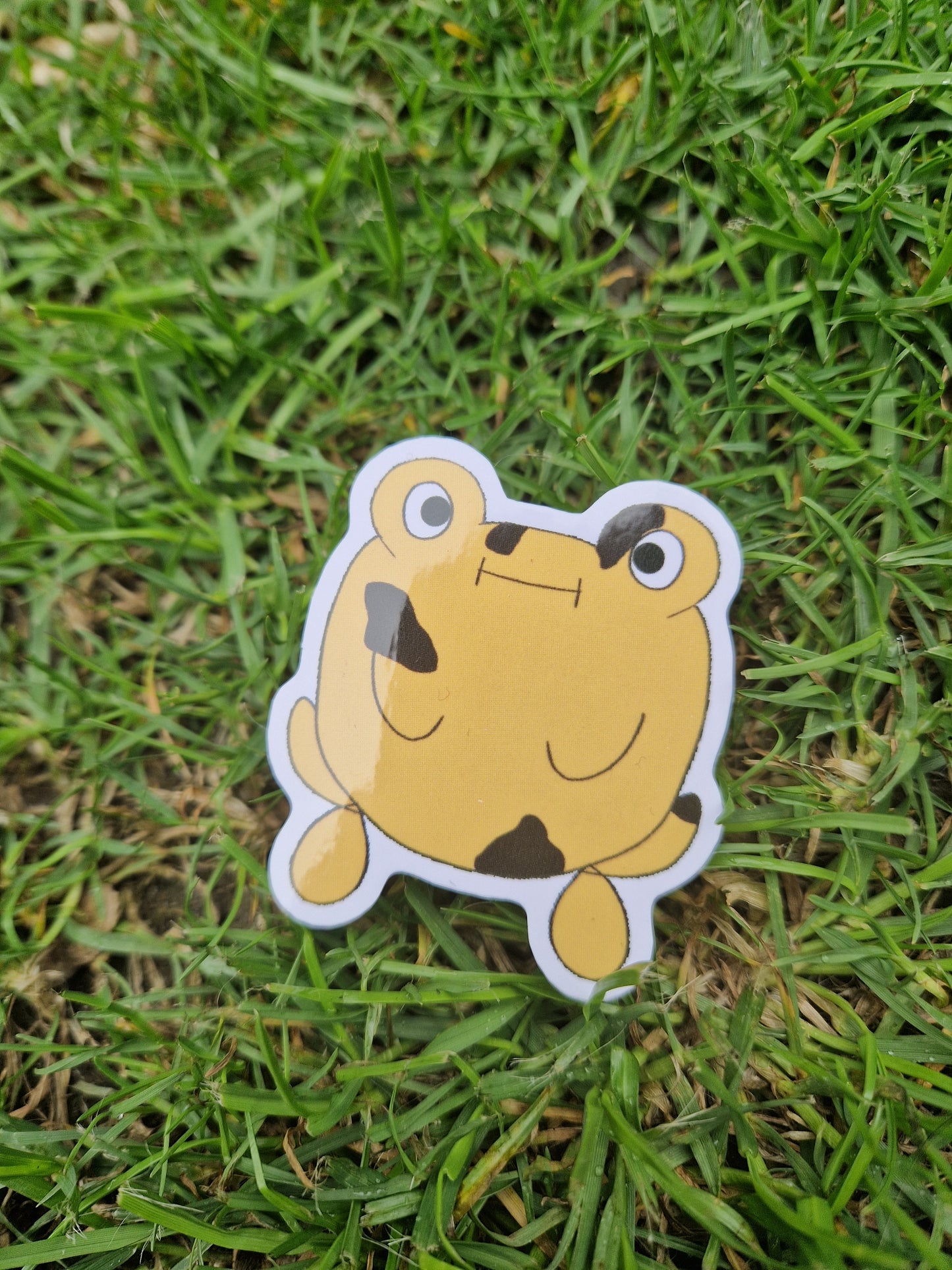 Yellow Frog Sticker 'Bob The Frog- Original Character