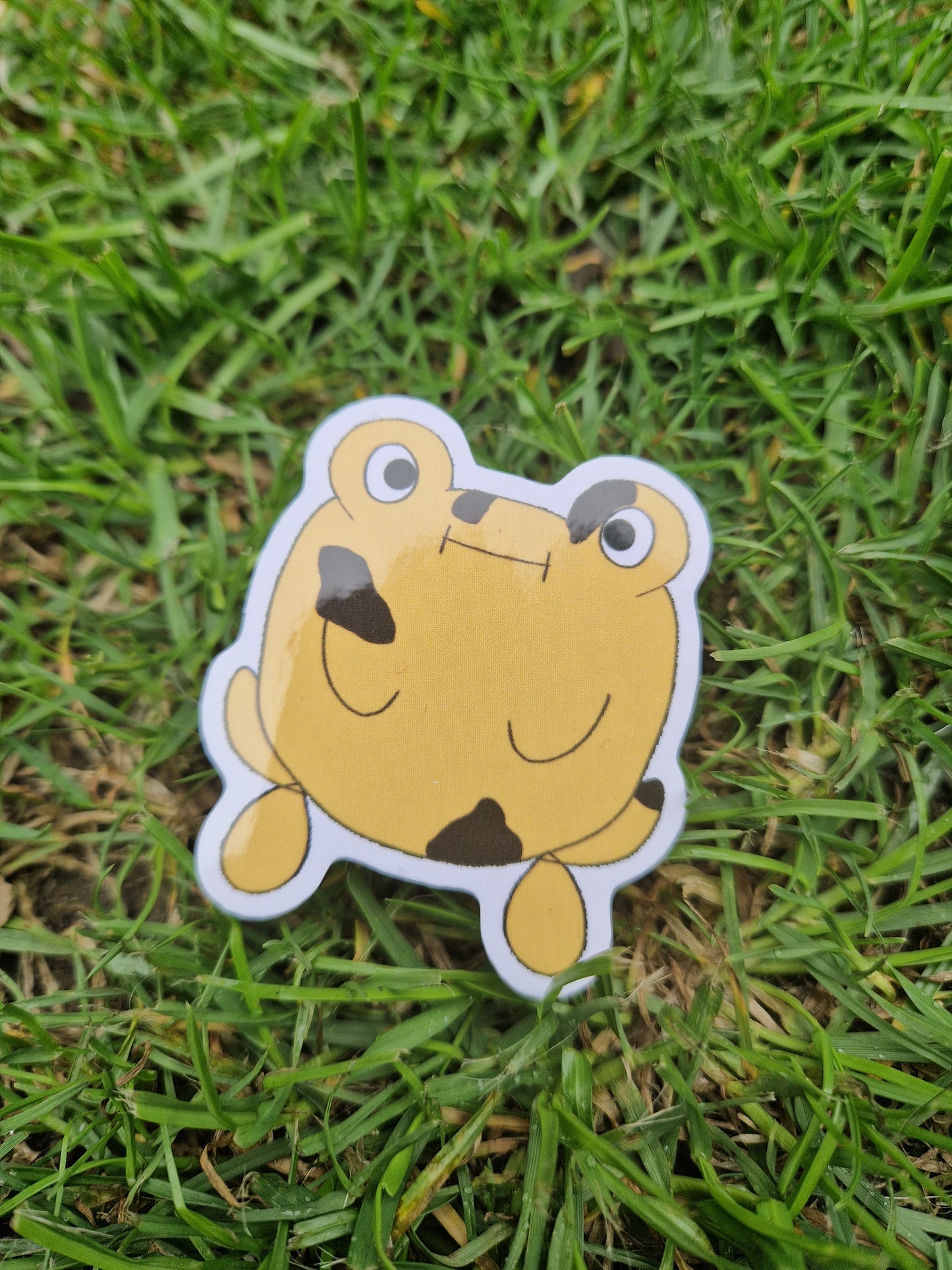 Yellow Frog Sticker 'Bob The Frog- Original Character
