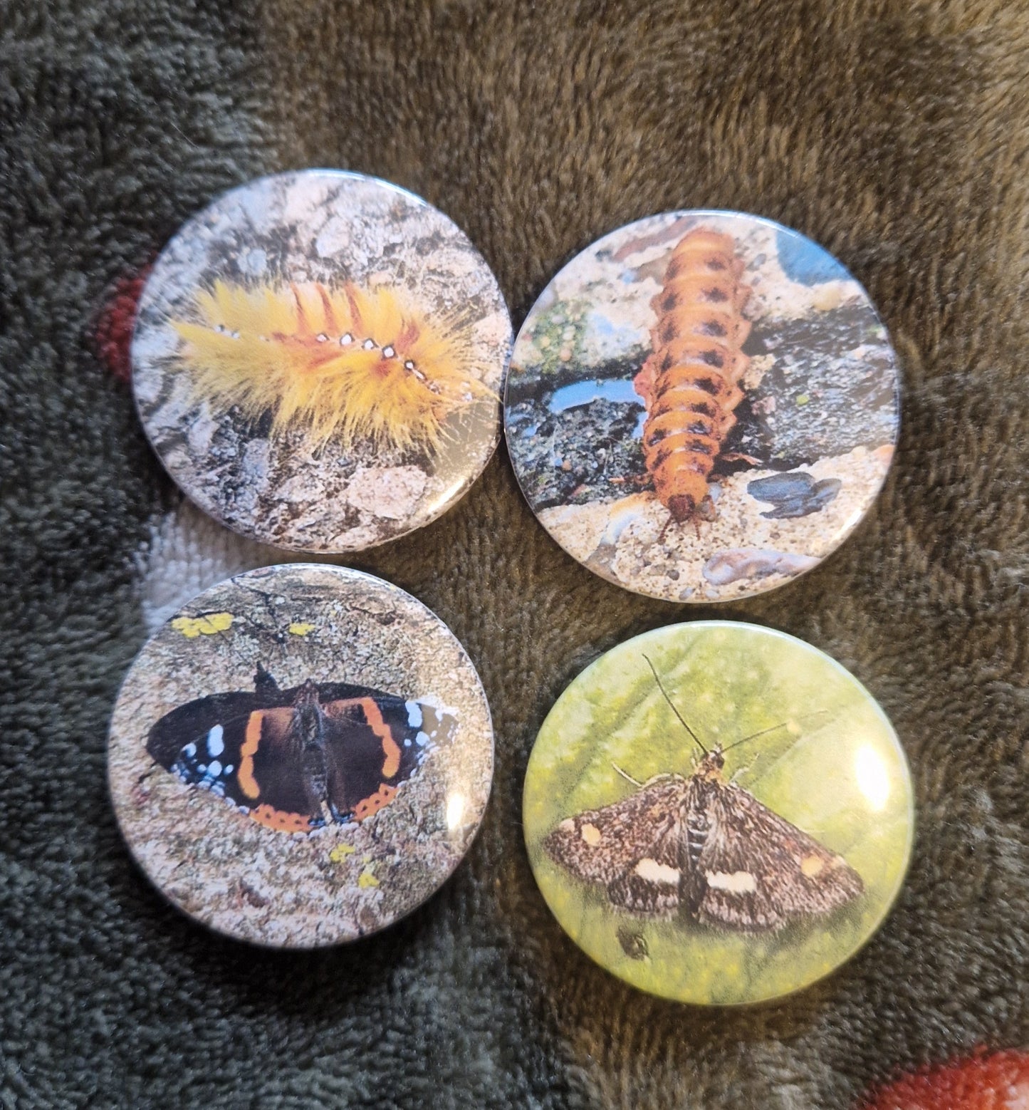 Bug Pin Badge Bundle #1