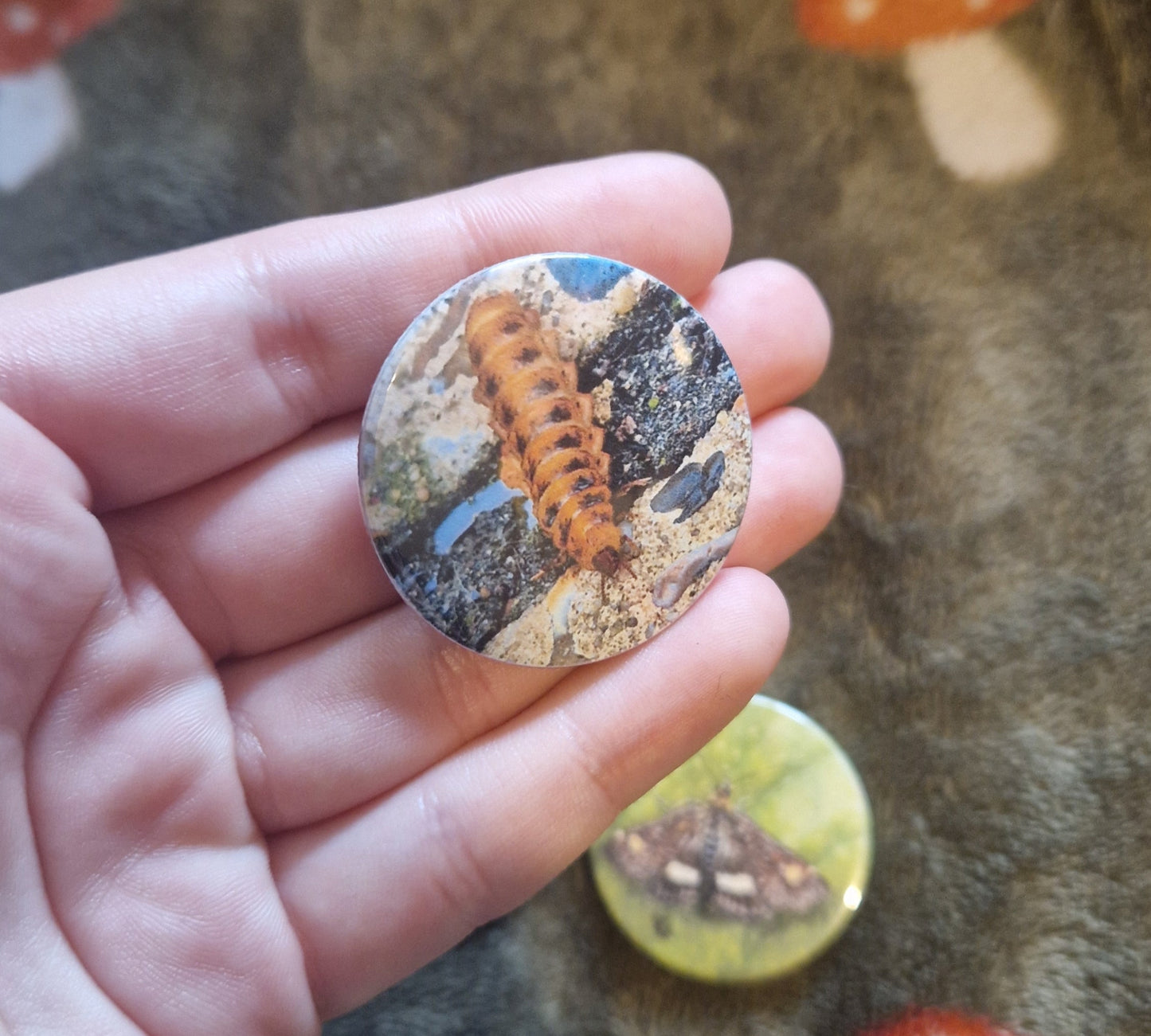 Bug Pin Badge Bundle #1