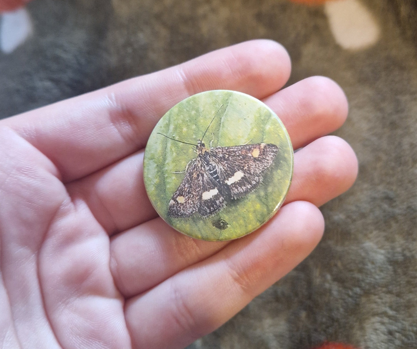 Bug Pin Badge Bundle #1