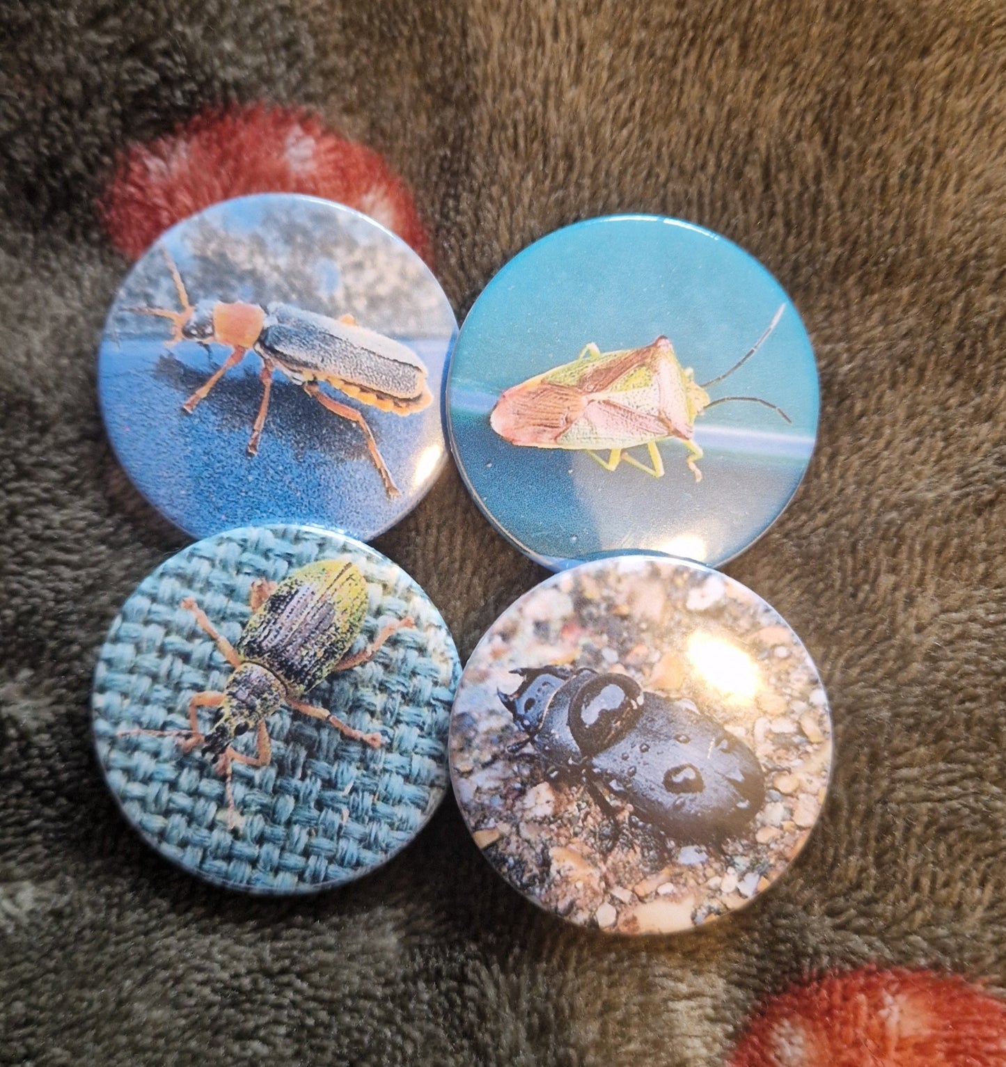 Bug Pin Badge Bundle #2