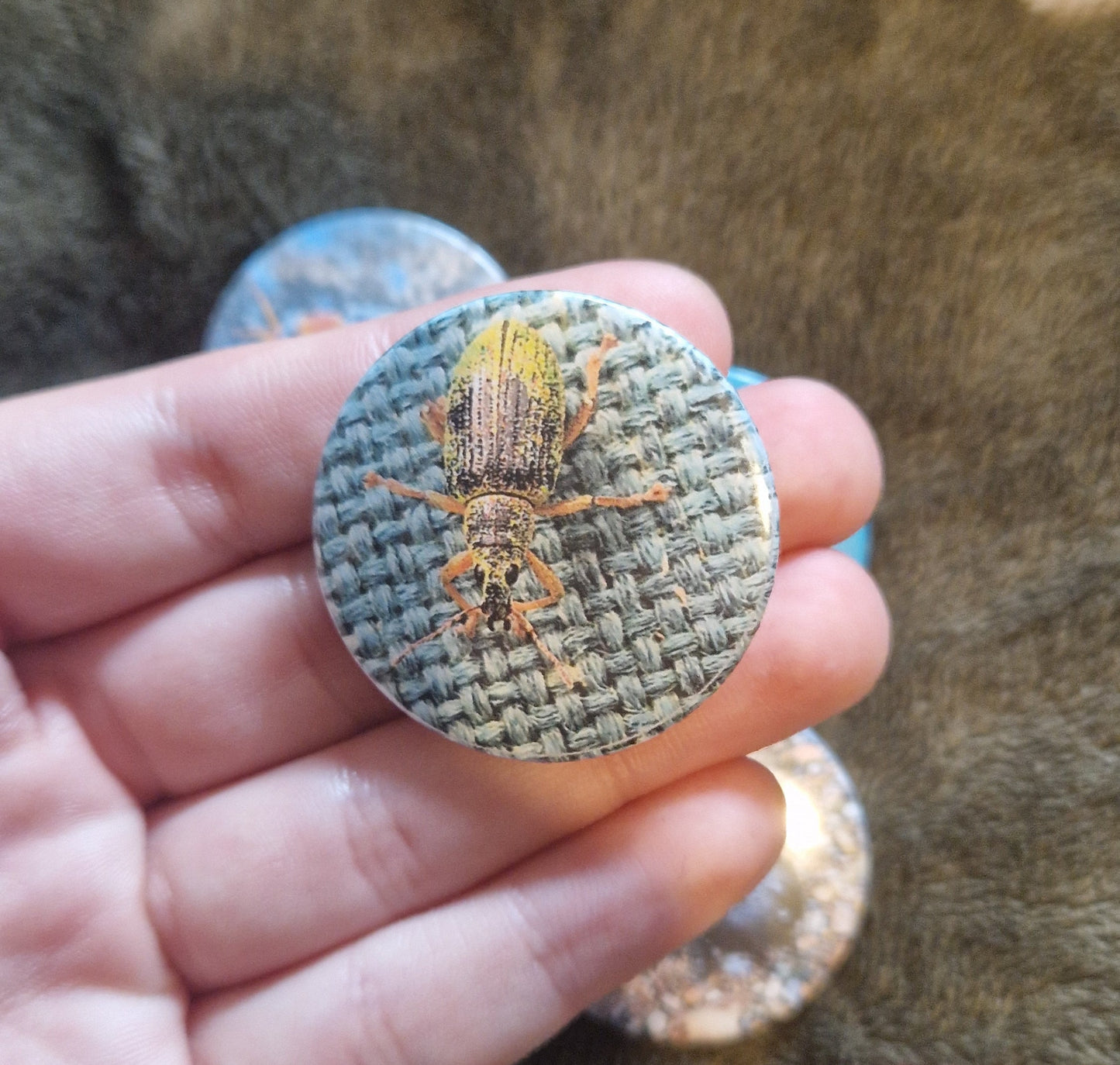 Bug Pin Badge Bundle #2