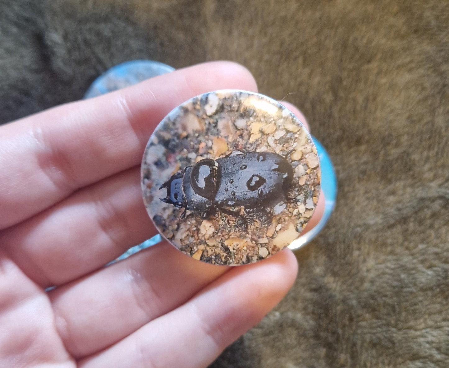 Bug Pin Badge Bundle #2