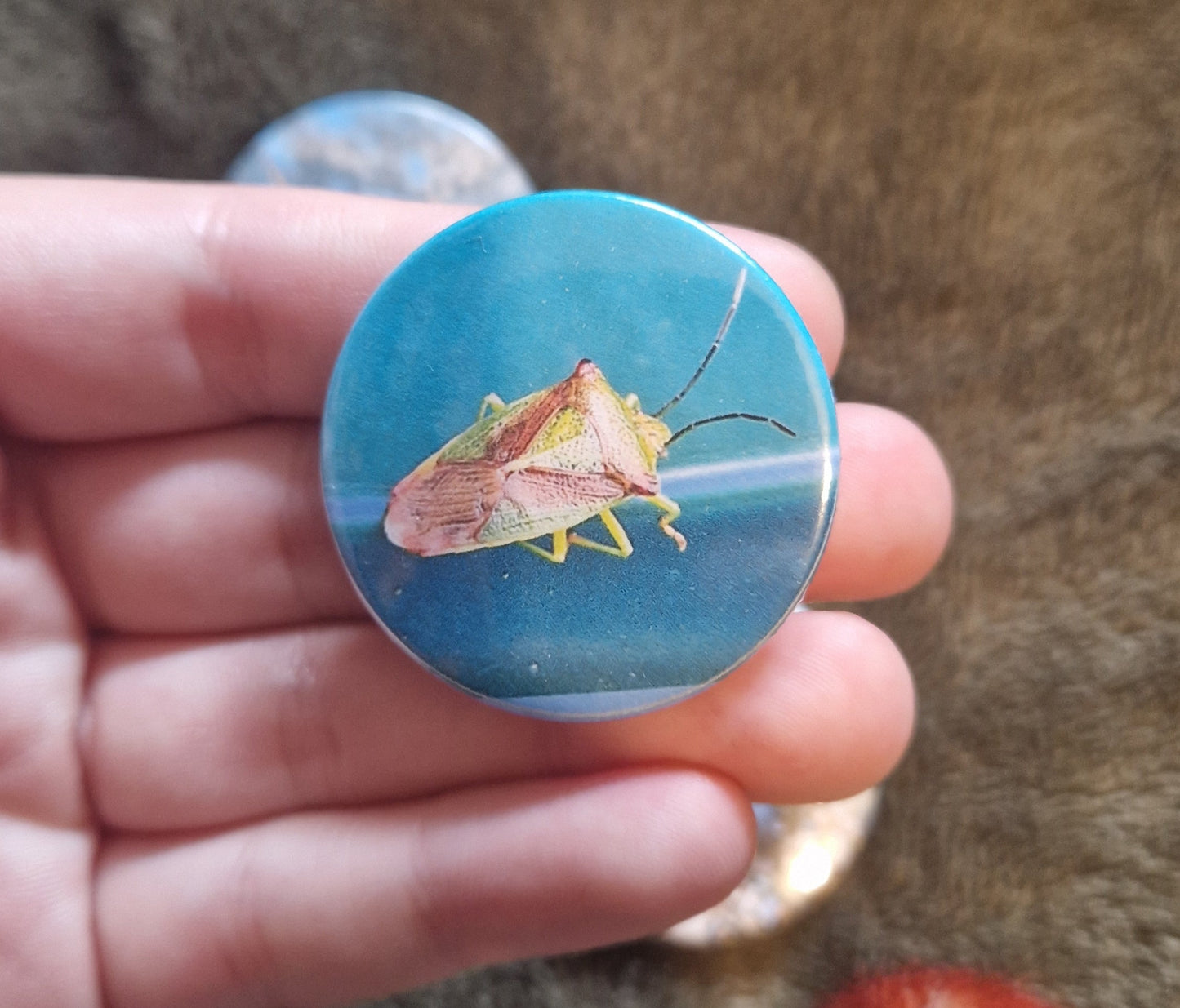 Bug Pin Badge Bundle #2