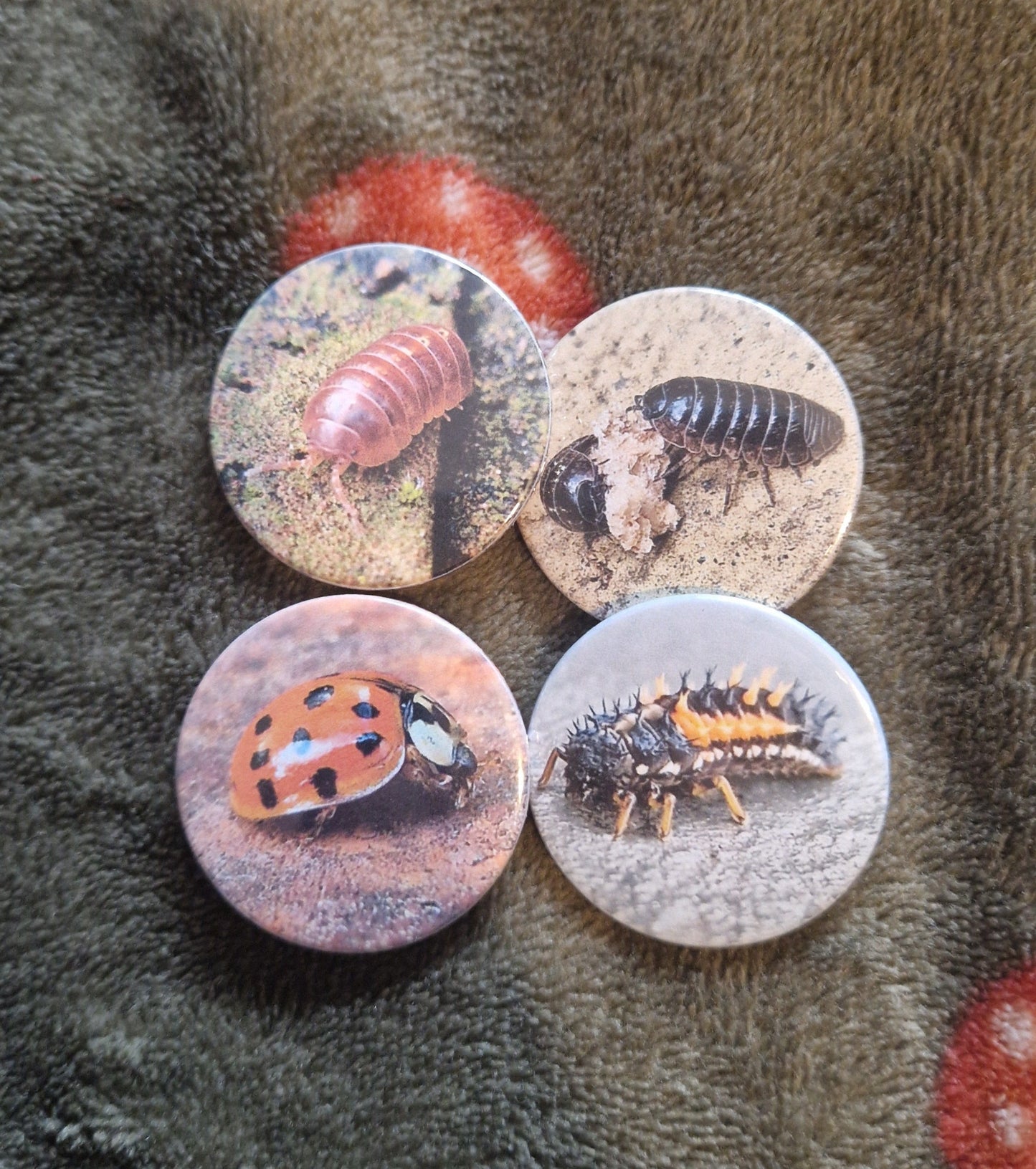 Bug Pin Badge Bundle #3