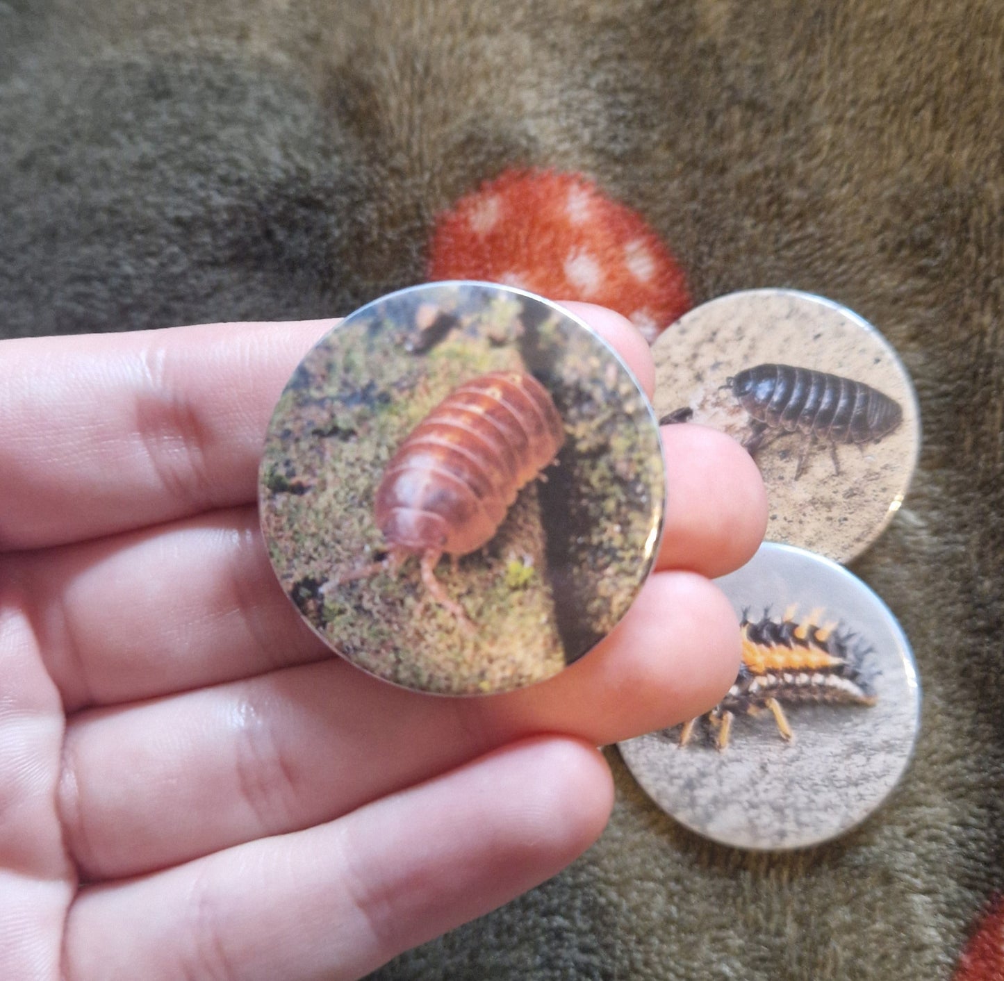 Hand holding a round, nature-themed button with a isopod design on a textured fabric background.
