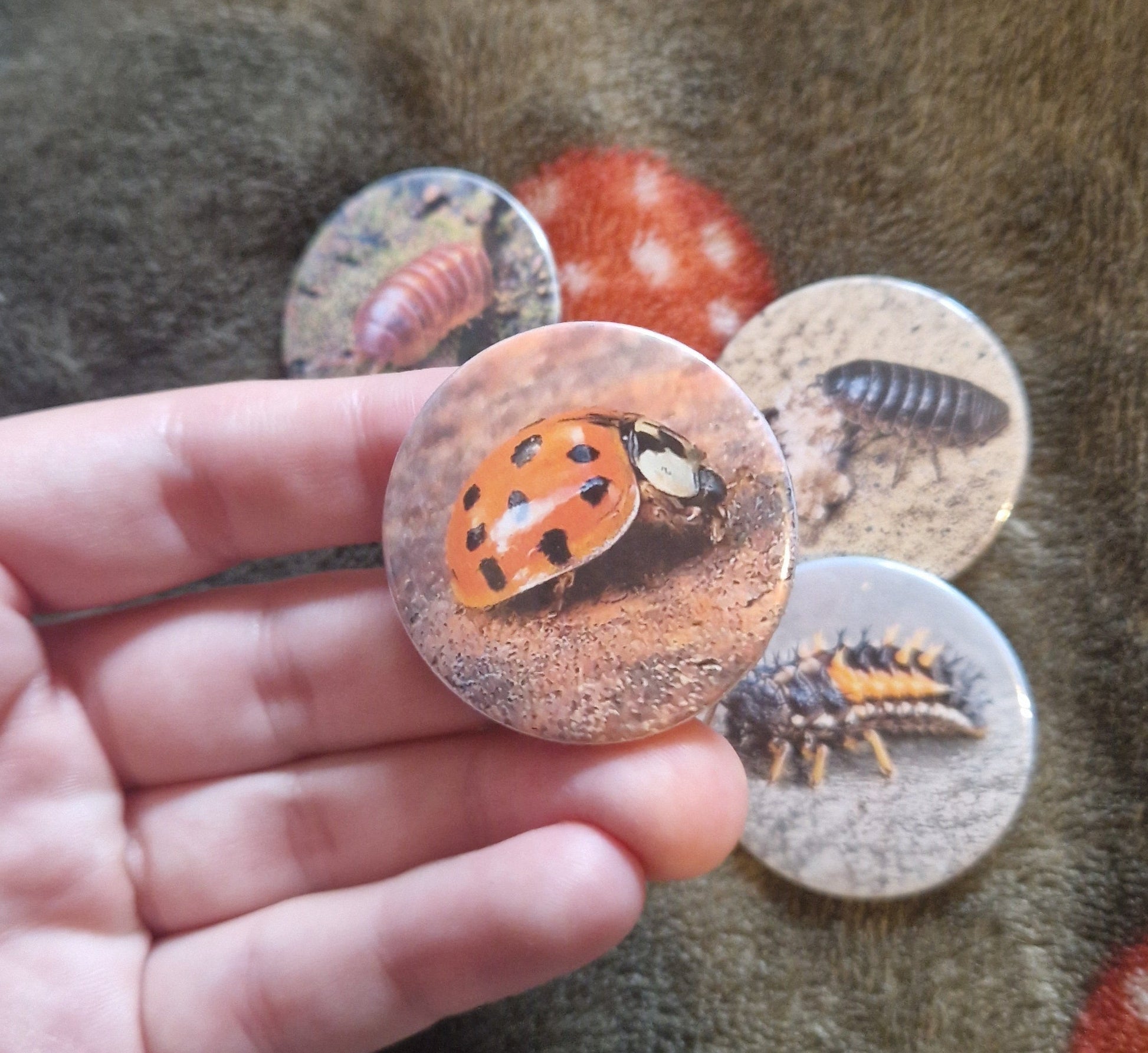 Hand holding a button with a ladybug design against a textured background