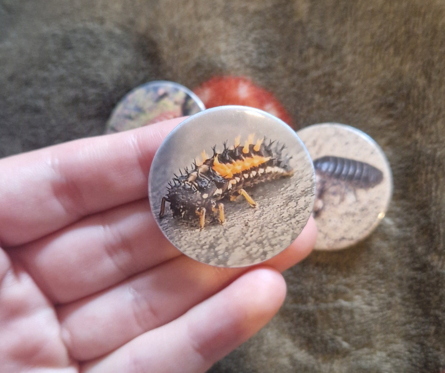 Hand holding a button with a bug design on a textured surface