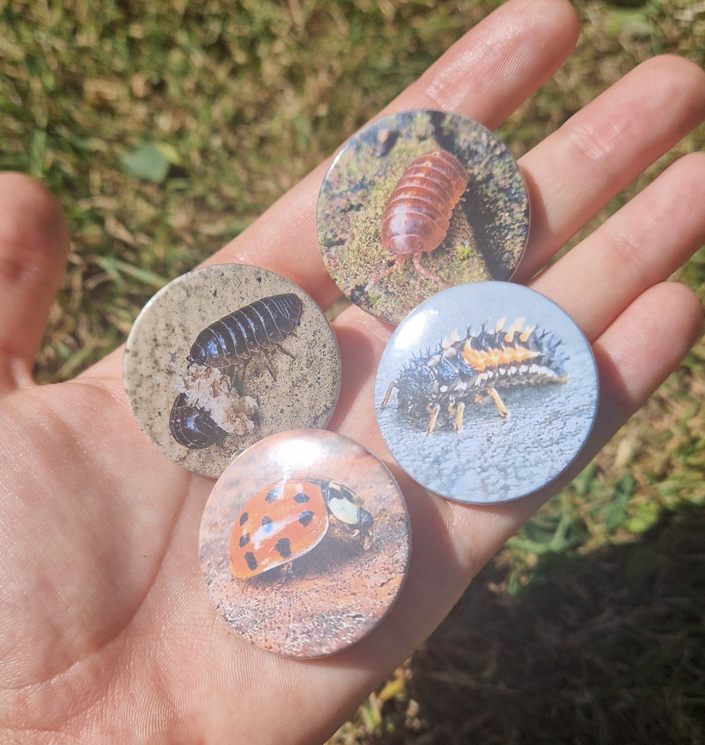 Bug Pin Badge Bundle #3