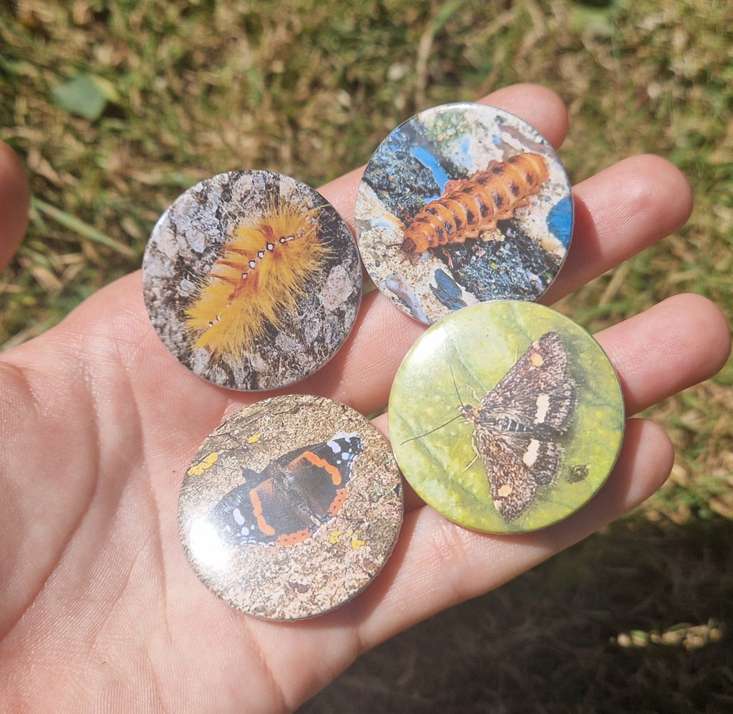 Bug Pin Badge Bundle #1