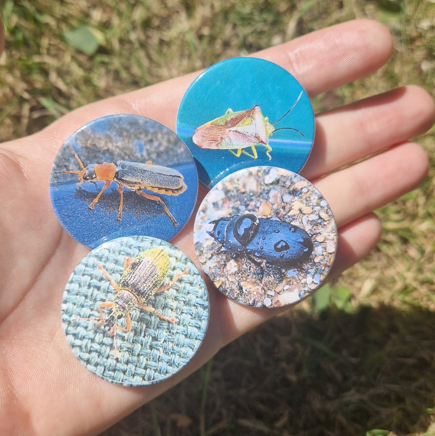 Bug Pin Badge Bundle #2