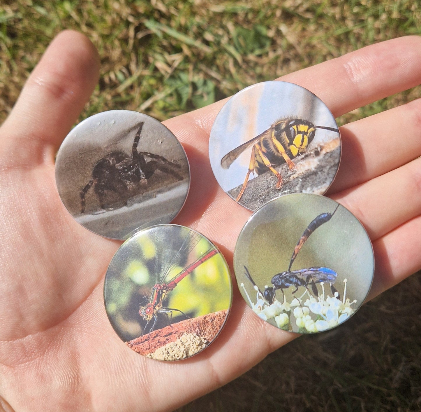 Bug Pin Badge Bundle #4