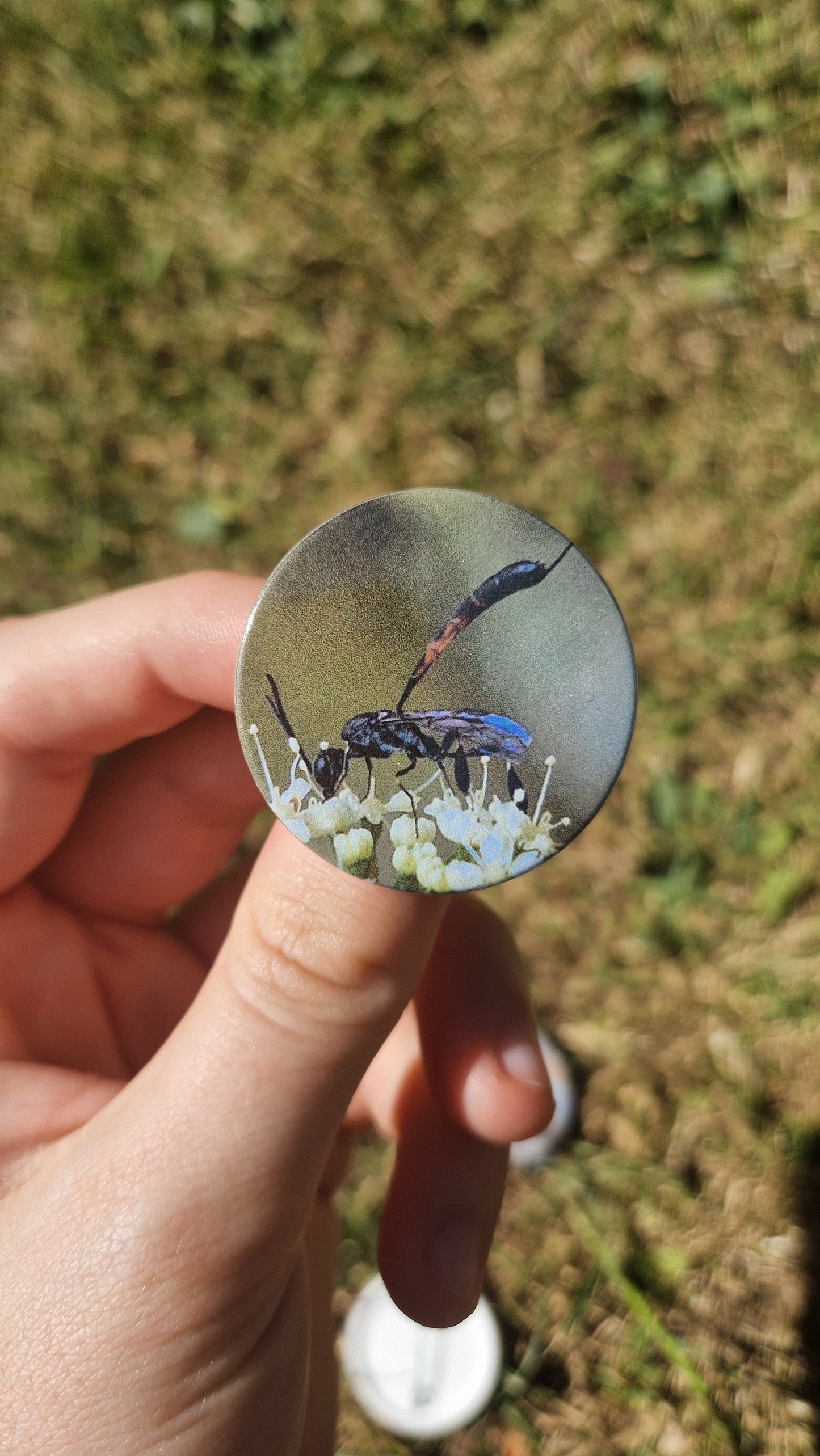 Bug Pin Badge Bundle #4