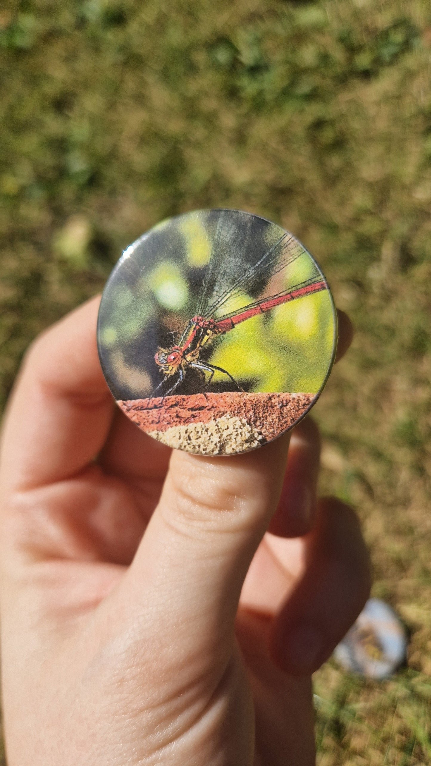 Bug Pin Badge Bundle #4