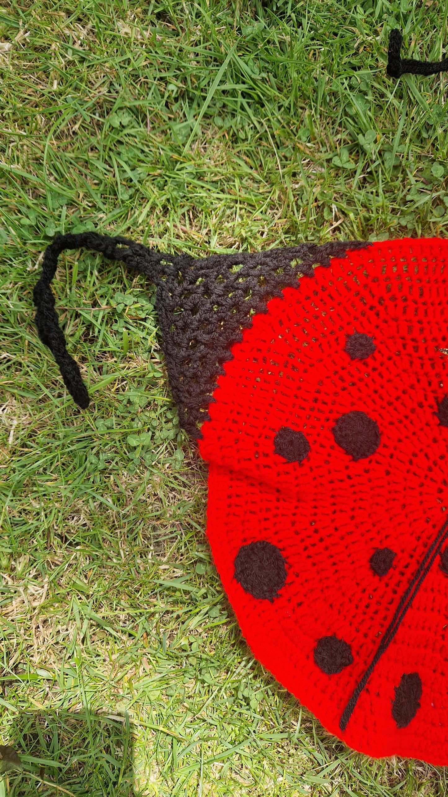 Crochet Ladybug Top ONE SIZE